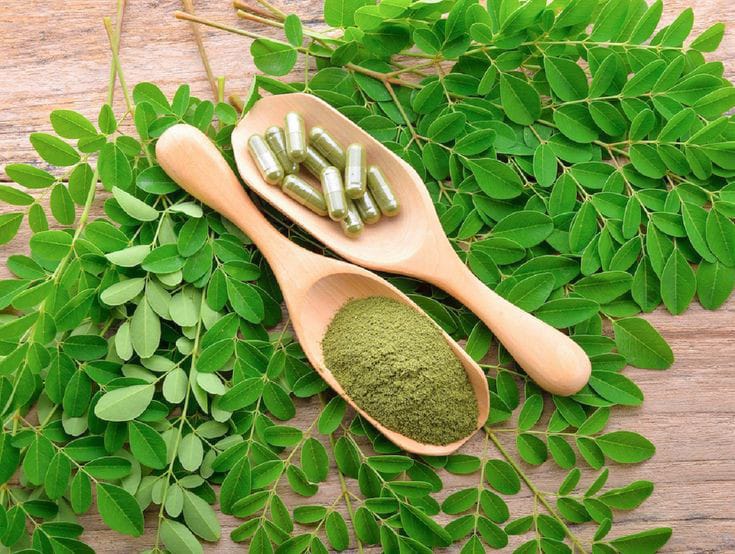 MOringa