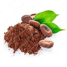 History of Cocoa Powder