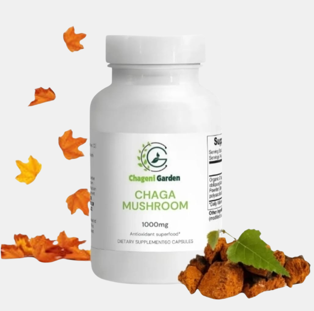 Chaga Mushroom