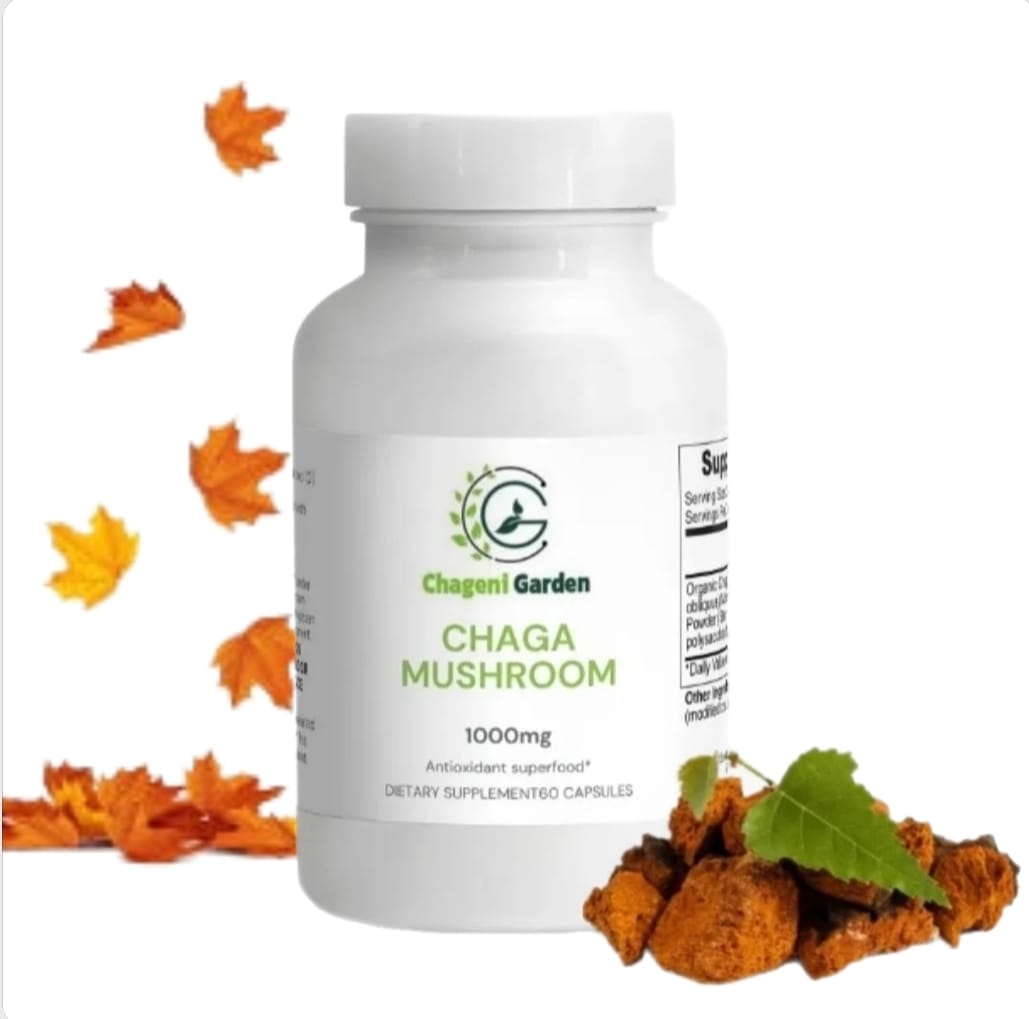 Chaga Mushroom